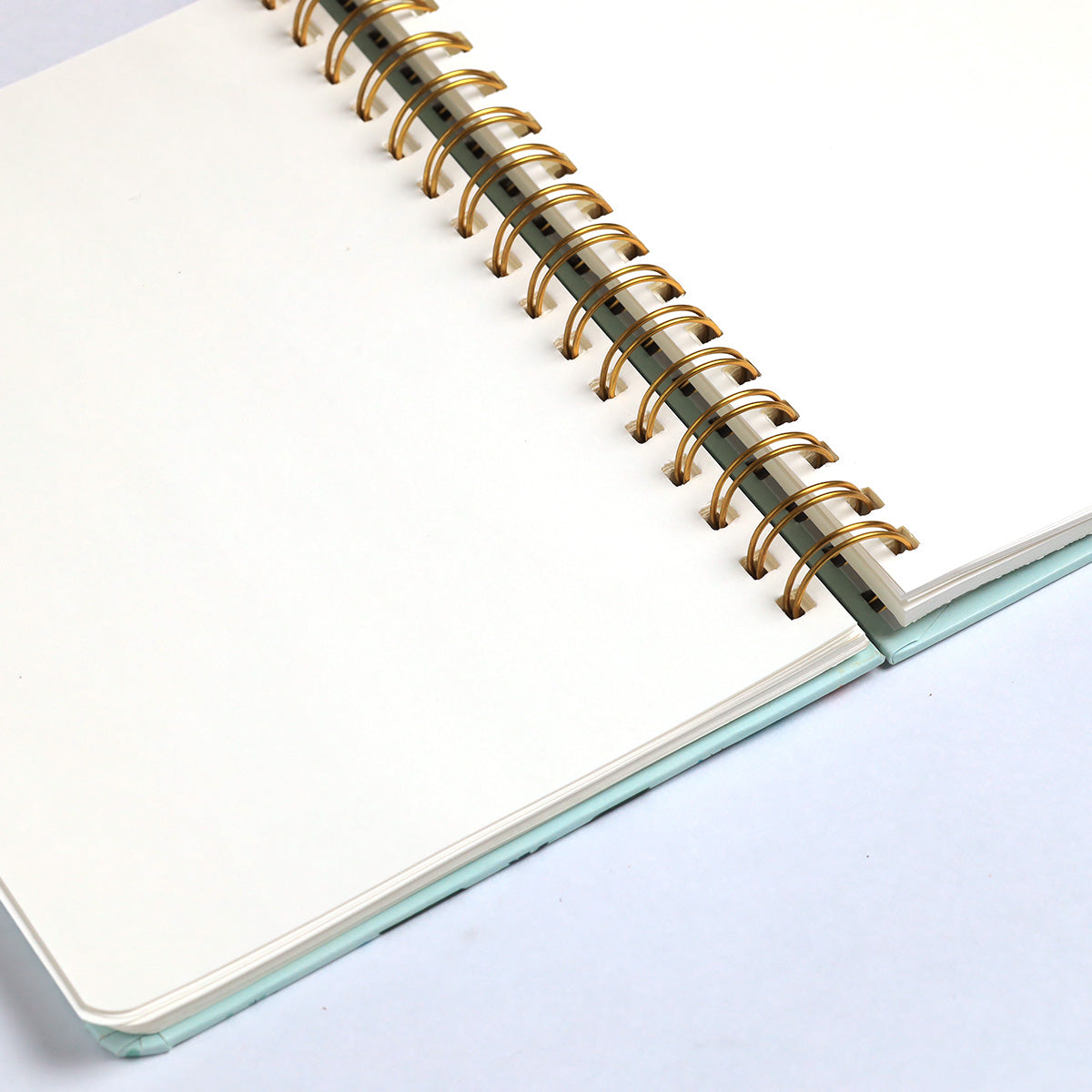 Birds Of Paradise Spiral Journal