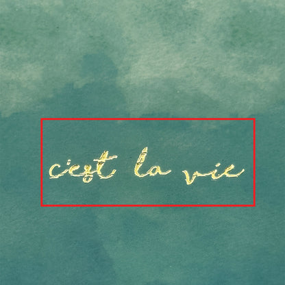 FS- Vie A6 Pocket Notebook-Dotted